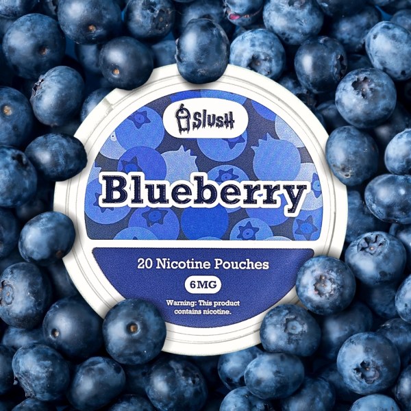 Slush Blueberry 6 mg