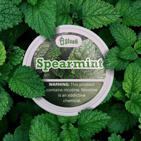 Slush Spearmint 6 mg
