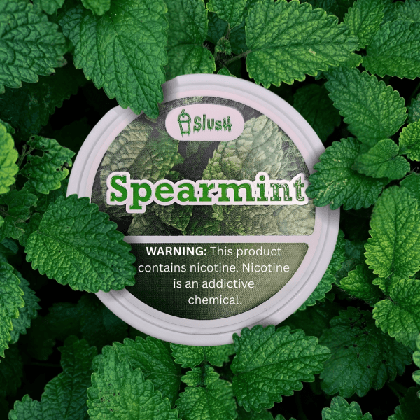 Slush Spearmint 6 mg